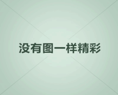 记者探访犬留所收容犬只 无家可归的狗狗们有了家